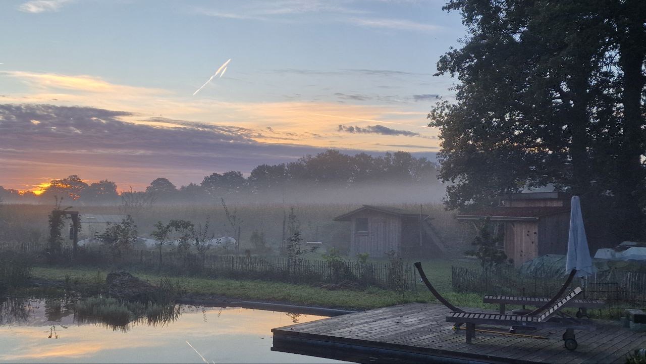 Alternatives at Ecosphere