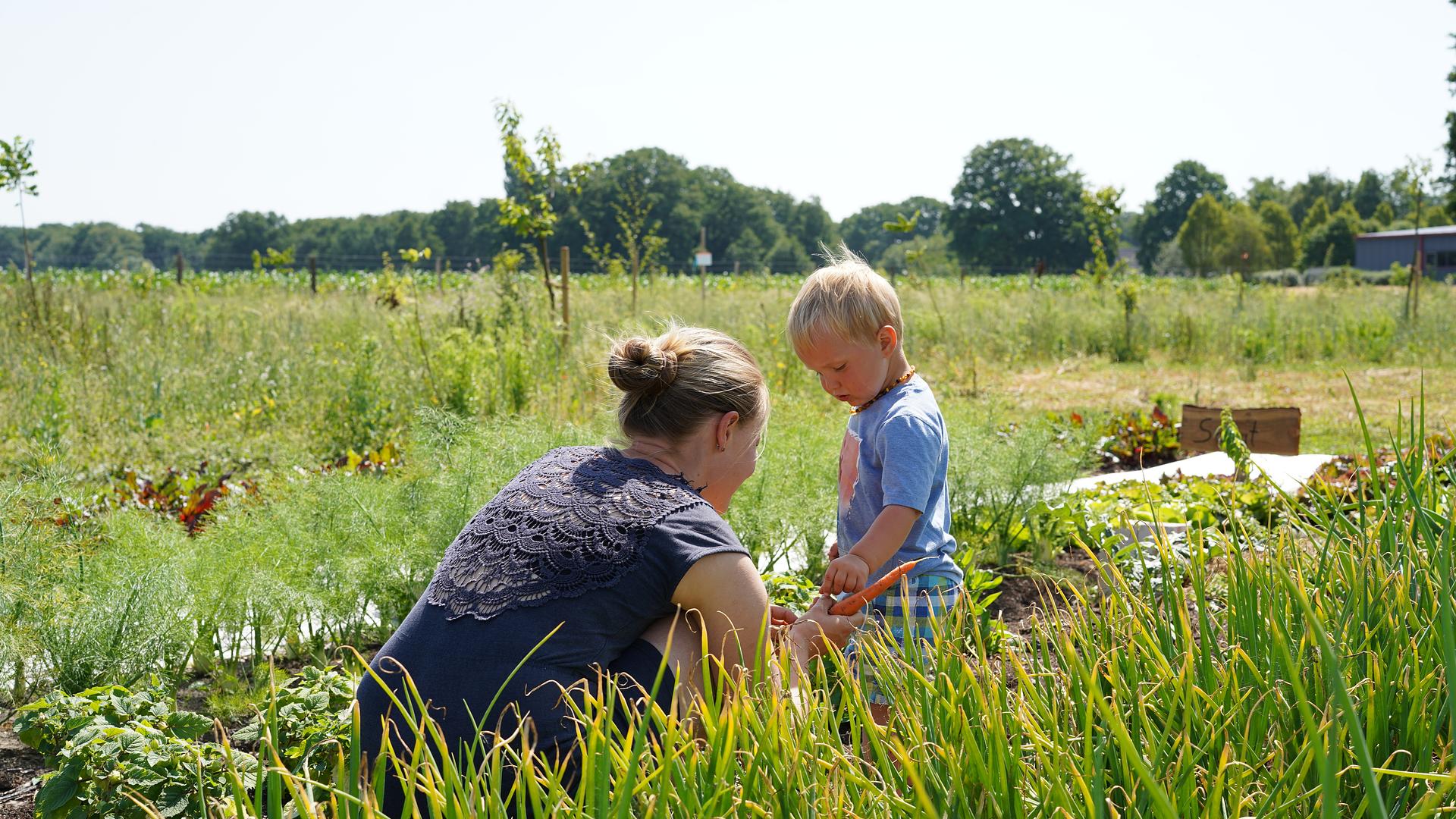 Mitmach-Tage der Ecosphere